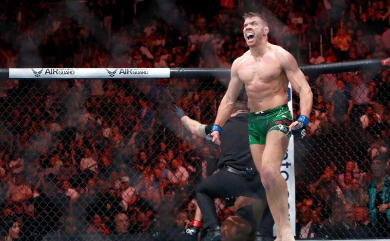 В UFC появился новый чемпион в среднем весе